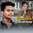 Dhulia Janda (Naughty Bass Mix) Dj Gulshan.mp3