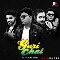 Guri Chal ( Cg Tapori ) Dj Sk Sunil Remix Rework.mp3