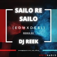 Sailo Re Sailo (The English Edm X Desi Mix) Dj Reek.mp3