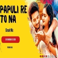 PAPULIRE TO NAA (CIRCUIT MIX) DJ RJ BHADRAK.mp3