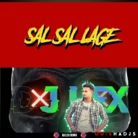 Sal Sal Lage Gal Gal Lage (Trance Mix) Dj Lex.mp3