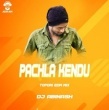 Pachila Kendu (Edm Tapori Trance Mix) Dj Abinash.mp3