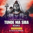 Tunde Nia Siba Nama Melody Bhajan (Humming Dance Mix) Dj Raja Kujimahal.mp3